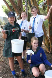 2015yr7 clean up day