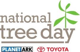 Schools Tree Day Logo