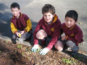 buddies tree planting (6)