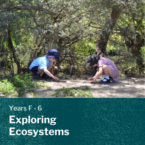Exploring ecosystems