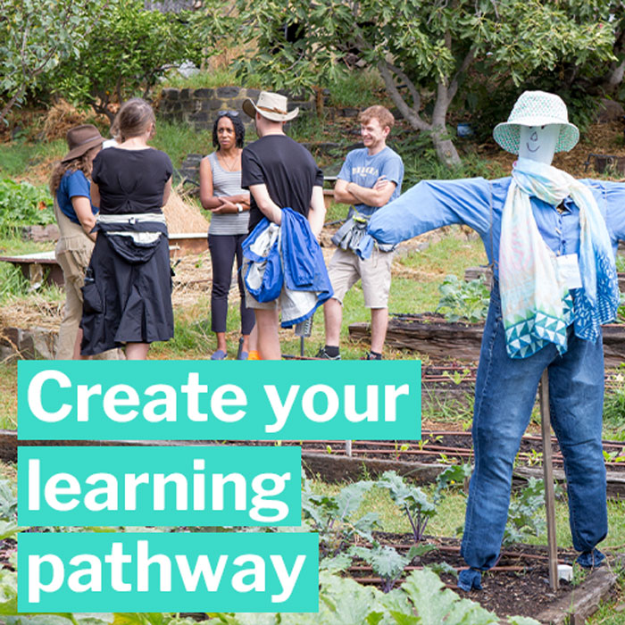 Create your learning pathway at CERES