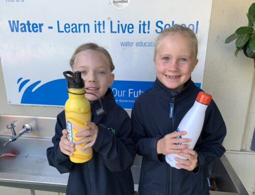 Saving water at St. Finbar’s Primary School