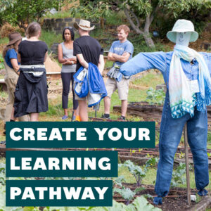 Create your learning pathway