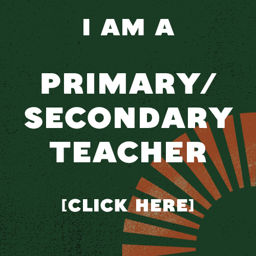 I am a primary/secondary teacher